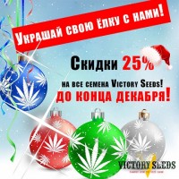 НОВОГОДНЯЯ АКЦИЯ!